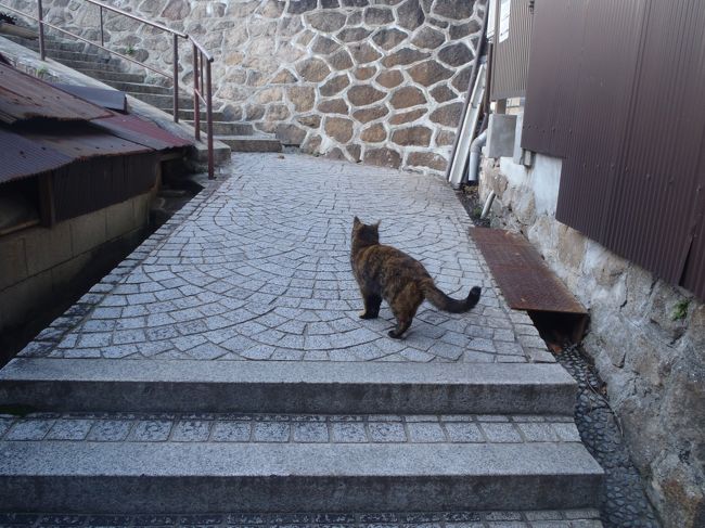 冬の広島一人旅☆２日目　尾道～竹原～呉