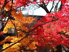 3年ぶりに行く紅葉シーズンの京都旅行　1日目①（南禅寺・永観堂）