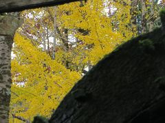 黒川温泉から熊本に向かう　その２.　阿蘇神社