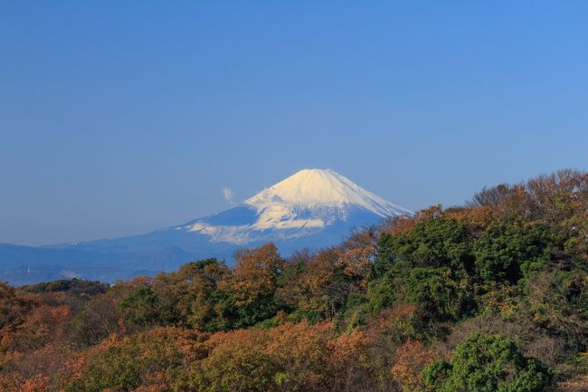 ハイキングと共に紅葉を楽しむ①～鎌倉天園ハイキングコース～