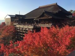 秋の京都♪