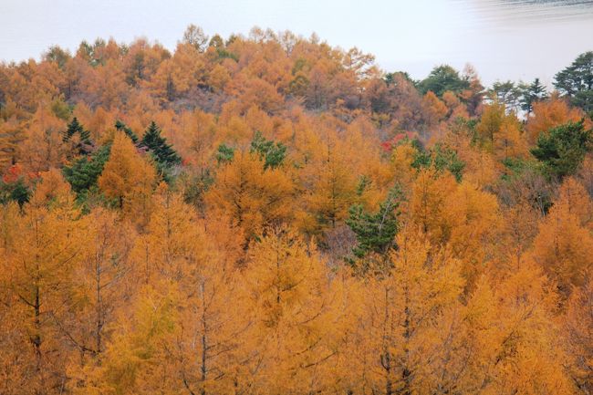 　紅葉の富士山とダイヤモンド富士とパール富士に合わせ、日程を計画したのですが、週間天気予報は台風が来ていて雨の予報で行くかどうか迷いましたが、行くことにしました。<br />　結果は、3日間のダイヤモンド富士は全滅でパール富士も叶わずでしたが紅葉と富士山はすばらしかった。<br /><br />日程<br /><br />1日目<br />　静岡sa　⇒　駿河湾沼津sa　<br /><br />2日目<br />　大観山　⇒　芦ノ湖　⇒　大涌谷　⇒　 長安寺　⇒　仙石原すすき草原　⇒　乙女峠　⇒　三国峠　⇒　山中湖長池　⇒　河口湖<br />3日目<br />　河口湖　⇒　忍野八海　⇒　二十曲峠　⇒　山中湖長池　<br />4日目<br />　富士吉田市歴史民俗博物館　⇒　紅葉台　⇒　 西湖いやしの里　⇒　 精進湖　⇒　本栖湖　⇒　田貫湖 <br />5日目<br />　 白糸の滝　⇒　大石寺　⇒　 浅間大社　⇒　龍厳橋<br /><br />　