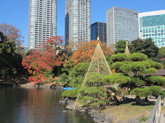 2014年　東京　浜離宮恩賜庭園紅葉見学