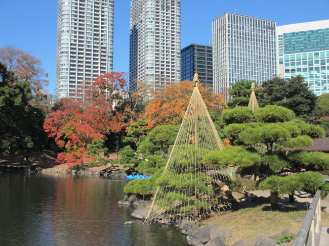 14年 東京 浜離宮恩賜庭園紅葉見学 浜松町 竹芝 東京 の旅行記 ブログ By イロコさん フォートラベル