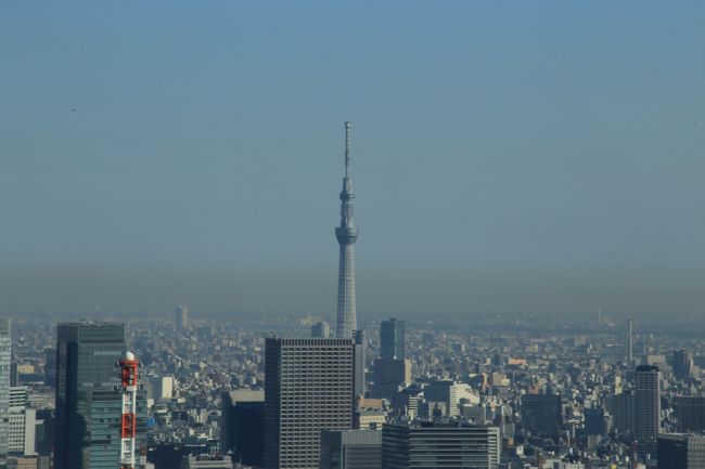 二日目　東京タワーへ行きました<br />昨夜はスカイツリー夜景　本日は<br />東京タワー　昼景です<br />天気が非常に良く<br />東京タワーから　富士山が見えました<br />週に一度ぐらいしか見えないんだって<br />ラッキー