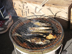 師走の県南新名物！カボス鰤・鮃～お国言葉と味旅自慢の旅～