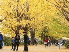 うれし～♪　たのし～♪　ピクニックオフ会♪　昭和記念公園コミュ　紅葉オフ会　～黄金色に染まるイチョウ並木の黄葉が見たくって～