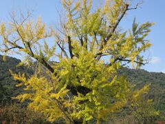 山陽・山陰地域周遊の旅　３日目その２　～　吉香公園と吉川家墓所　～