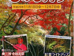 東山植物園・１１月下旬紅葉＆黄葉＆ライトアップ