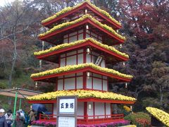 福島県立霞ヶ城公園で実施されている二本松の菊人形を見てきました