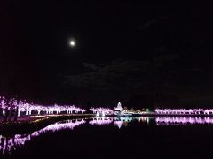 東武動物公園で♪イルミネーションデートをしましょう☆★