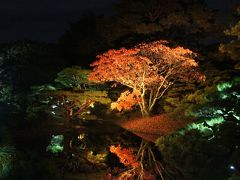 2014香川県へ うどん・紅葉・丸亀城・こんぴらさん