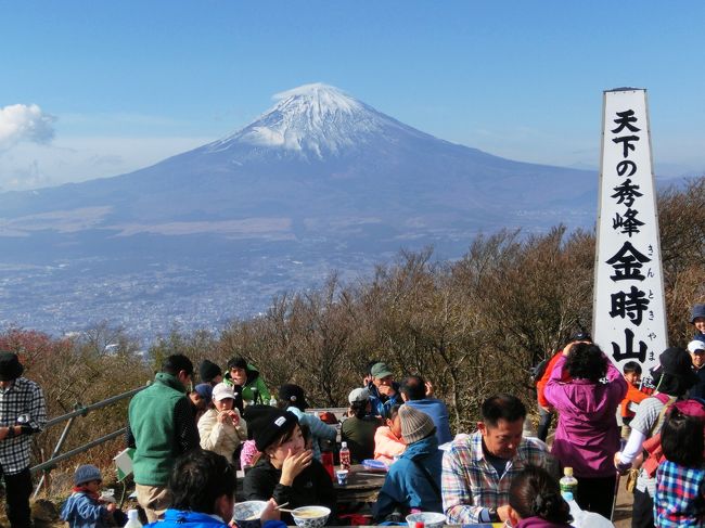 最近山登りしてないねー<br />と言うことでツアーを探したところ、ありました！「金時山」登山。<br />ツアーなので誰でも登れそうだし、現地登山ガイドが二名付。<br />「ららん藤岡」を７:２５出発、「仙石原ルート」の登山口に１０:１５到着。<br />バスを降りて支度して、準備運動してから１０:４５登山開始。<br />ほぼ同年代の方々がなんと４７名！天気も最高。<br />私的にはマイペースで登りたいところですが、そこは団体ゆっくりペース。<br />７０分コースを８５分かけて山頂へ、富士山の絶景を見ながらの昼食。<br />下りはフリーになれたので、写真を撮りながらでも６０分で下山。<br />紅葉も富士山も登山も最高でした。