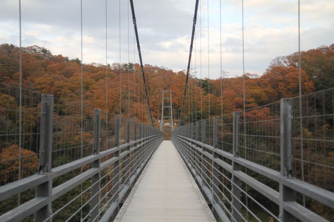 201411-06_中国地方の紅葉狩り(奥出雲・鬼の舌震）/Okuizumo in Shimane