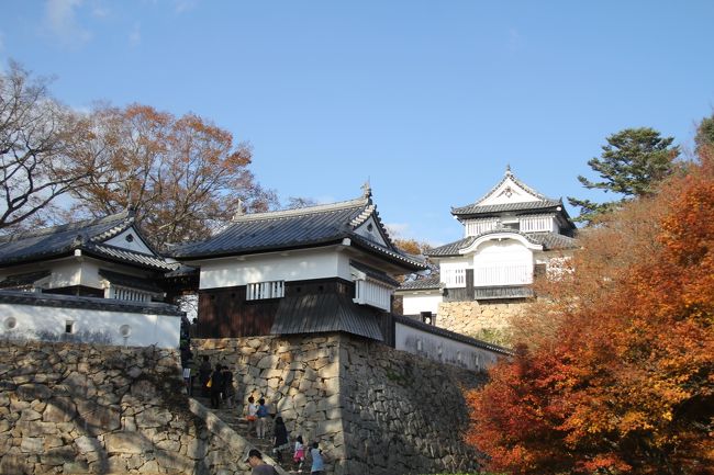 201411-09_中国地方の紅葉狩り(高梁松山城）/Takahashi Matsuyamajo Castle in Okayama