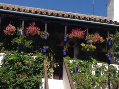 長期スペイン南部旅・コルドバ編②　白と青の家並みが～