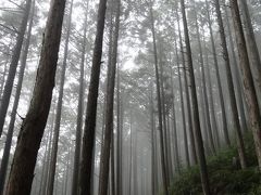 熊野本宮_Kumano Hongu　蟻の熊野詣ルート！初めての熊野古道は人気の中辺路（なかへち）