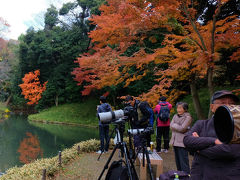 紅葉も素晴らしい　小石川後楽園−４　最終