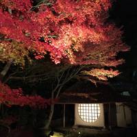 紅葉狩りに京都2泊3日（1日目）～高台寺・清水寺のライトアップ～