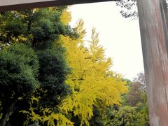 日本の神を覗く旅路・第1部記紀の神々続・晩秋の大和路02祭神は国譲り交渉の主役たち・春日大社その1表参道・昼と夜