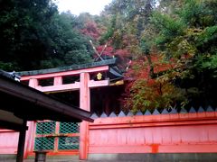 日本の神を覗く旅路・第1部記紀の神々続・晩秋の大和路04祭神は国譲り交渉の主役たち・春日大社その3回廊外周の景観と若宮神社