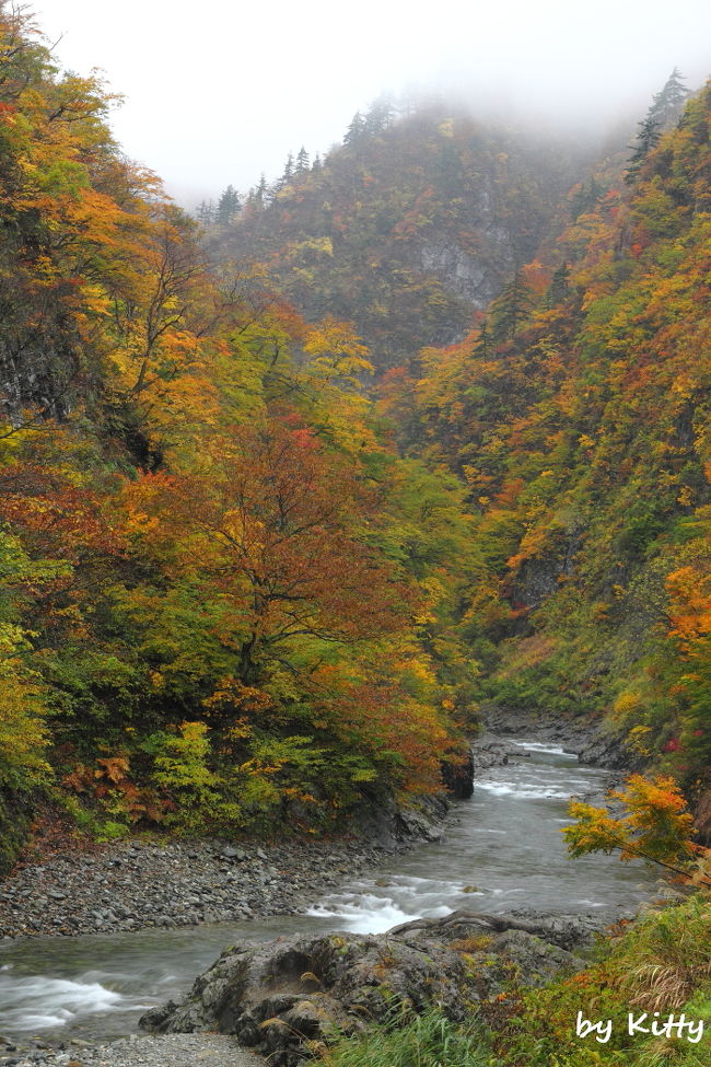 秋川渓谷でバーベキューを楽しんだその日の夜、新潟・越後湯沢へ向けて出発！<br />この日は到着がすでに23時頃だったので寝るだけにして、翌日に苗場のドラゴンドラと清津峡へ行ってみました♪<br /><br />ドラゴンドラの紅葉はすでにちょっと終わりかけだったけれど、清津峡の紅葉がとっても素晴らしい☆<br />そして清津峡へ行くまでの道のりで見かけた山々の紅葉もすごかった〜！！<br />ここの紅葉は今年見た紅葉の中でもBEST紅葉だ☆☆<br />午後からは雨が降ってきてしまったけれど、それもまた幻想的で良し。<br /><br />帰りの高速では一度行ってみたかった寄居の星の王子さまPAにも寄れてかなり満足♪<br />初新潟で、かなり濃ゆ〜い1日を過ごせました。<br /><br />