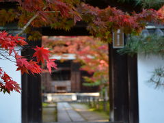 京田辺　一休寺（酬恩庵）の紅葉！2014年