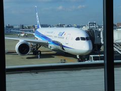 2014年11月　ブラジル　福岡→羽田