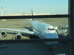 2014年11月　ブラジル　羽田→フランクフルト