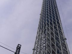 ★2010年5月★建築中のスカイツリーと修繕中の浅草寺【東京】