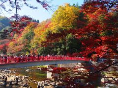 2014香嵐渓の紅葉