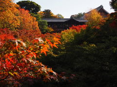 時間なくても京都へ行くぞ！　Vol.02東福寺・イノダコーヒー・菱岩のお話。