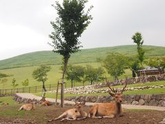 近畿旅行記　◇奈良公園◇