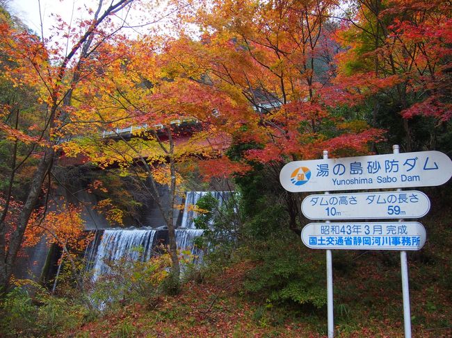 秋の山梨ドライブの続き。<br />昼ごはんを清水港で食べて、そのまま静岡県を北上。<br /><br />地図を眺めててずっと気になってたんですね<br />この梅ヶ島温泉。<br /><br />静岡県のとんがったとこ<br />からちょっと右のほうだけど、<br />山に囲まれて奥にはもう何もない超秘境なかんじ。<br /><br />といっても<br />静岡市からは60分程度でいけるらしいし。<br /><br />名古屋から行くにはちょっと遠いかなと<br />思っていたので。<br /><br />さすがにものスゴイ山奥。<br /><br />おまけに湯がヌメヌメのナトリウム泉で、お肌ツルツル<br />まー、おっさんがツルツルになっても何の意味もないのですが。<br /><br />天気がどす曇りだったけど、<br />さすがに紅葉は綺麗だった。<br /><br />次来るときは泊まりに来よう。