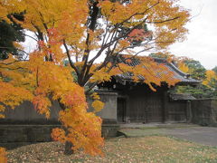 2014年　皇居乾通りの紅葉通り抜け