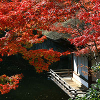 2013年最後の紅葉めぐりは和歌山へ