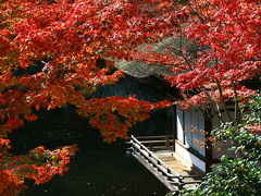 2013年最後の紅葉めぐりは和歌山へ