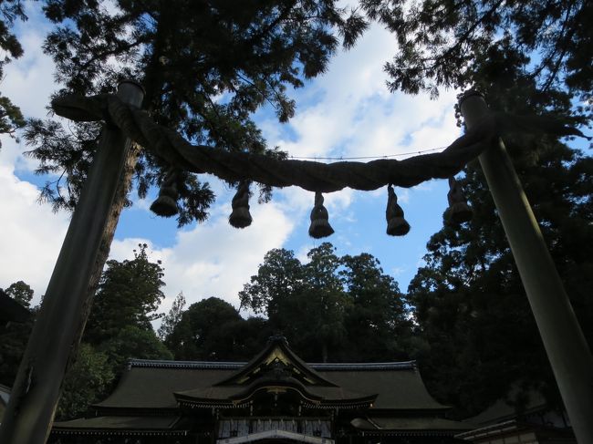 最近は、毎年家族そろって初もうでに行くのですが、いつも人が多すぎて・・・。<br />ということで、去年は１２月末に橿原神宮に行ったところ、すいてたので、味をしめて、今年は「じゃあ、大神神社に行っておこう！」(*^_^*)<br /><br />大神神社は、日本最古の大社で、三輪山がご神体なのです。<br />いつも、１月は、２０日頃まで、平日でも車が動かないくらい、初もうでが多いので、ちょっとフライングで行ってみました(^_^)v