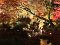 3年ぶりに行く紅葉シーズンの京都旅行　2日目③（締めは宝厳院ライトアップ！見事なライトアップを見ることができました）