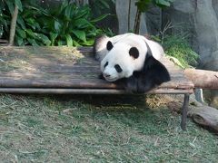 マリーナベイサンズに泊まるシンガポール　３日目