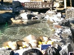 2015正月の伊豆旅行