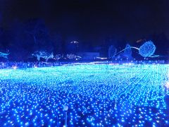 東京ミッドタウン　キラキラのイルミネーション