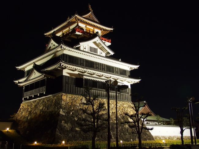 夜の清洲城がほんっとに恐ろしくキレーでした！！！