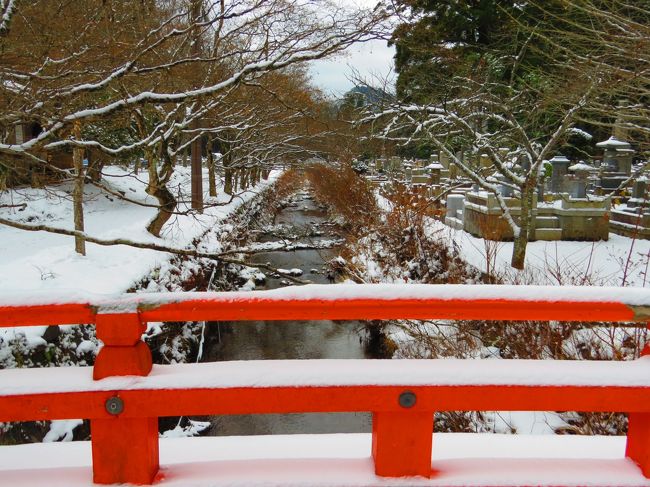 氷点下の高野山で寺院巡り<br /><br />南海・極楽橋駅に到着したのが9時過ぎ<br /><br />ケーブルカーで高野山駅へ、駅前周辺は薄っすら雪化粧<br /><br />徒歩で女人堂へ向かう心算でいましたが、路面に雪が積り歩き難そうだから<br /><br />バスで奥の院まで行き、往路は徒歩でブラブラして来ました<br /><br />女人道などを歩きたかったのですが雪で断念しました<br /><br /><br />表紙 玉川と平和橋
