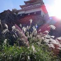 琴平・丸亀・高松の旅（２日目）