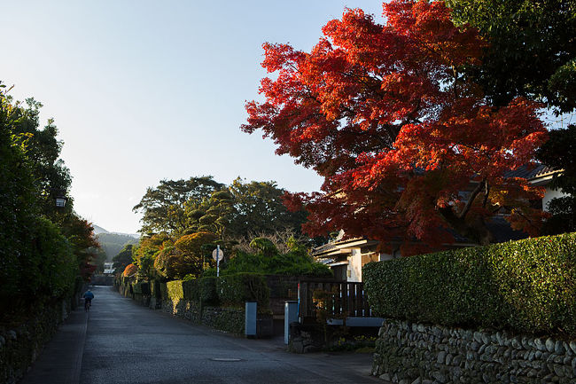 11月22日(土)<br />壇蜜に誘われて鹿児島入りしたくわ一家、出水で夜を明かした後、出水市の武家屋敷と有名なツルを見にいきました。