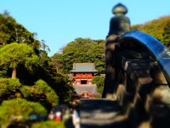 師走の鶴岡八幡宮