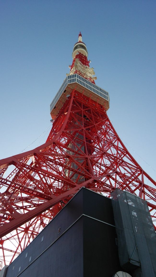 子供のころに行ったきり何十年ぶりの東京タワーに行ってみました。<br />スカイツリーが出来た今、お客さんがいなのかと思ったらみごとにうらぎられました（笑）<br />すごい人でいっぱいで展望台へのエレベーターは30分待ちです。<br />そして7割が外国からの観光客でした。