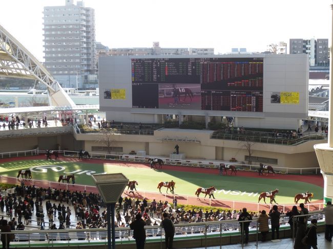 ２年ぶりの阪神競馬。<br />ＪＲＡカードで指定席を確保しての競馬観戦です。<br />思えば、神戸に住んでいたころ（２０数年前）は、朝も早から競馬場に向かい<br />指定席をを取っておりました。<br />それが今やネットで確保できる時代。<br />う〜ん、世の中便利になりました。<br />本日のメーンレースは２歳牝馬限定の阪神ジュベナイルフィリーズです。<br />もちろん、１Ｒから勝負をしてわらしべ長者を目指します。<br />まあ、結果は推して知るべしですが、楽しい一日を過ごしました。