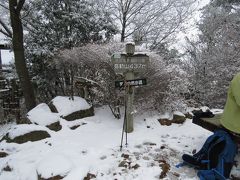 大雪だから弥勒山お散歩・・・変わり者のおじさんです！